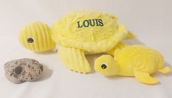 les tortues et raies déglingos – Image 10