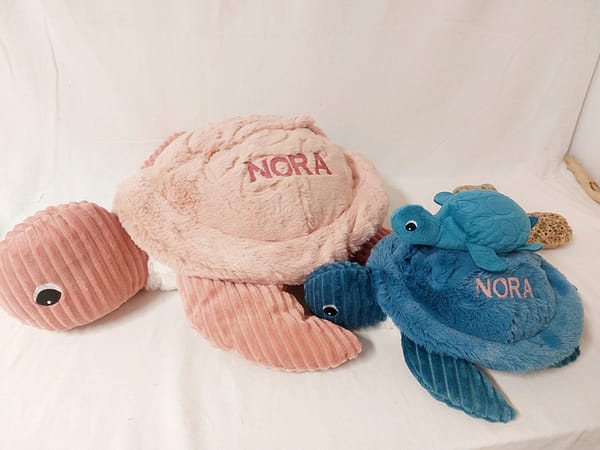 les tortues et raies déglingos – Image 2