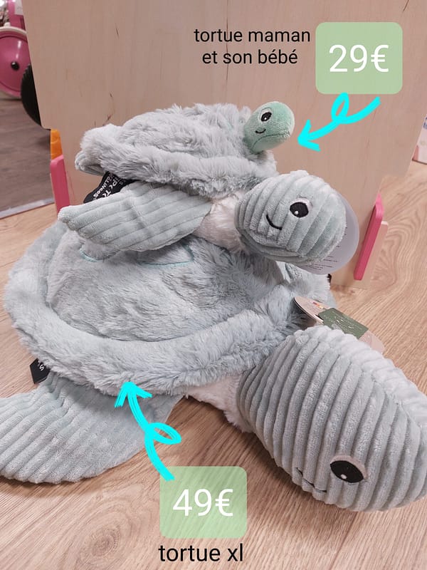 les tortues et raies déglingos – Image 7