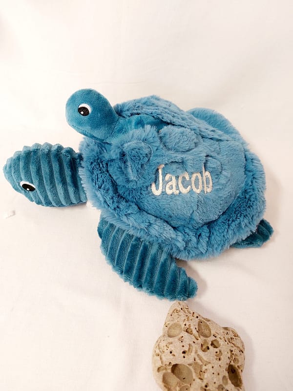 les tortues et raies déglingos – Image 11